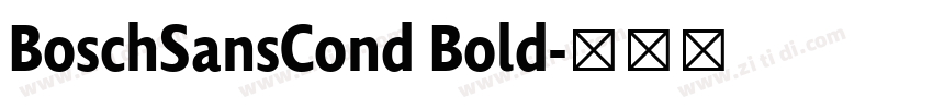 BoschSansCond Bold字体转换